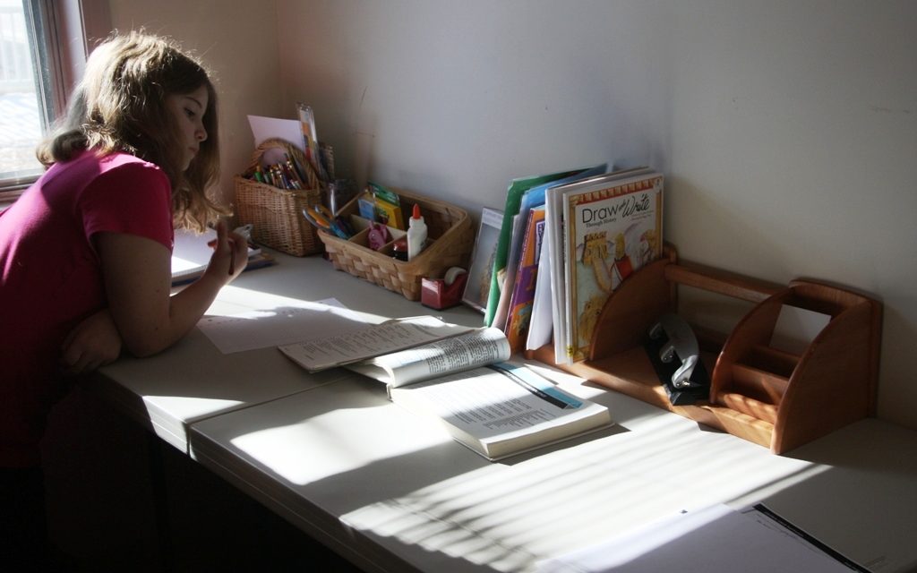 While the Public Experiences a Health Calamity, the Homeschooling Movement Sees a Big Opportunity